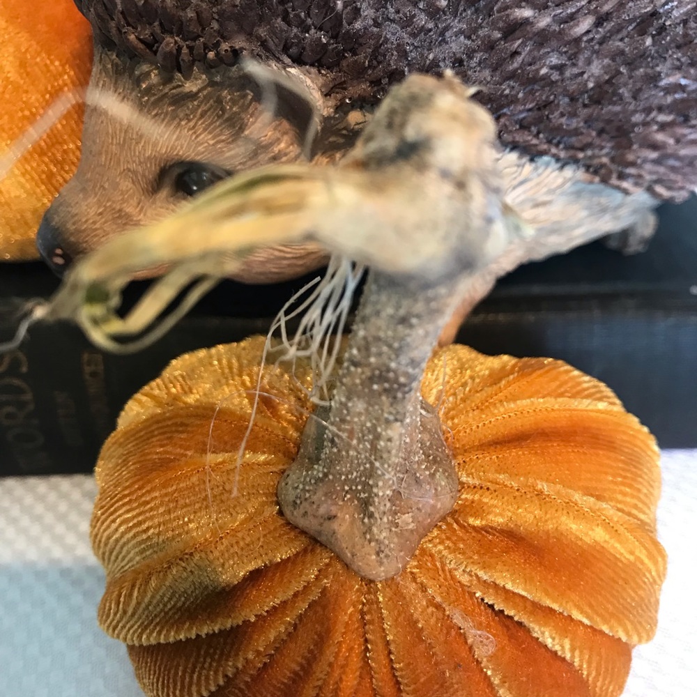 Velvet pumpkins - Picture 3 of 5
